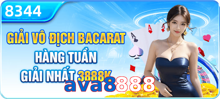 ava8888