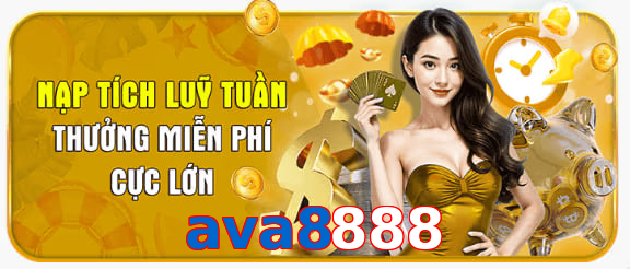 ava8888